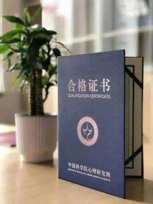 甘肃地区心理学广告信息咨询专业招生启动，专科可报，挑战高薪月入2万