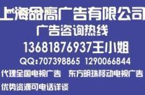 2013年电视字幕广告服务全解析 价格、种类、品牌与供应商概览