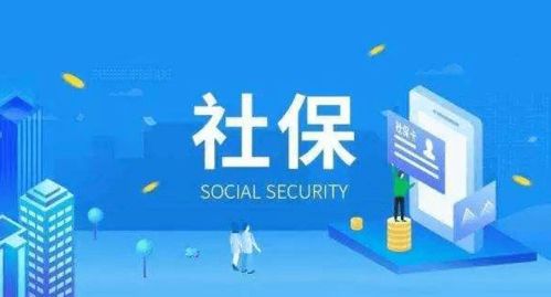 单位已缴纳保险，为何社保信息却查询不到？