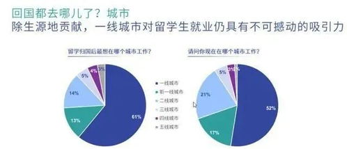 广告剩余及广告信息咨询指南